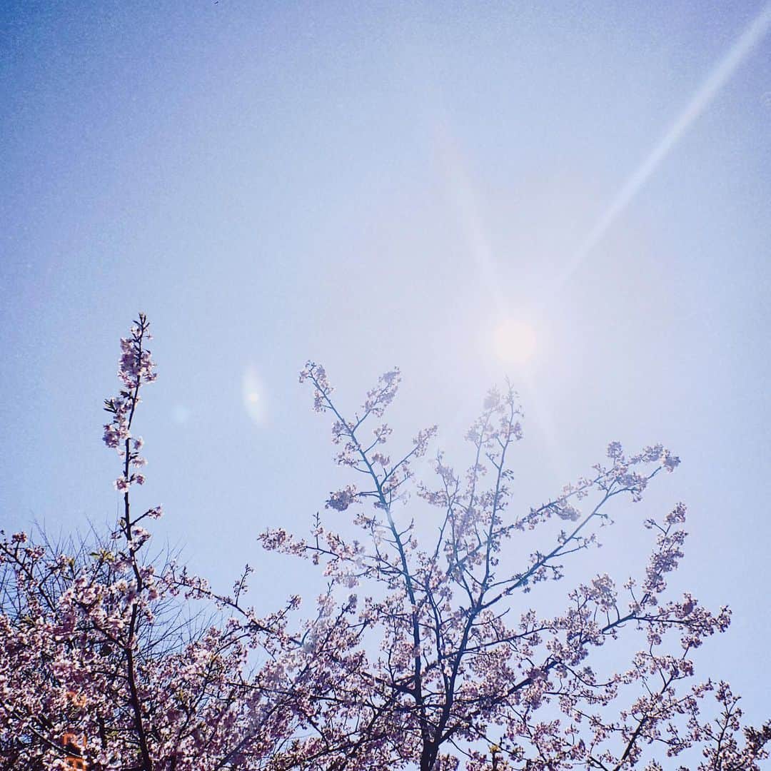 中野恵那さんのインスタグラム写真 - (中野恵那Instagram)3月9日 20時10分 - nakano.ena