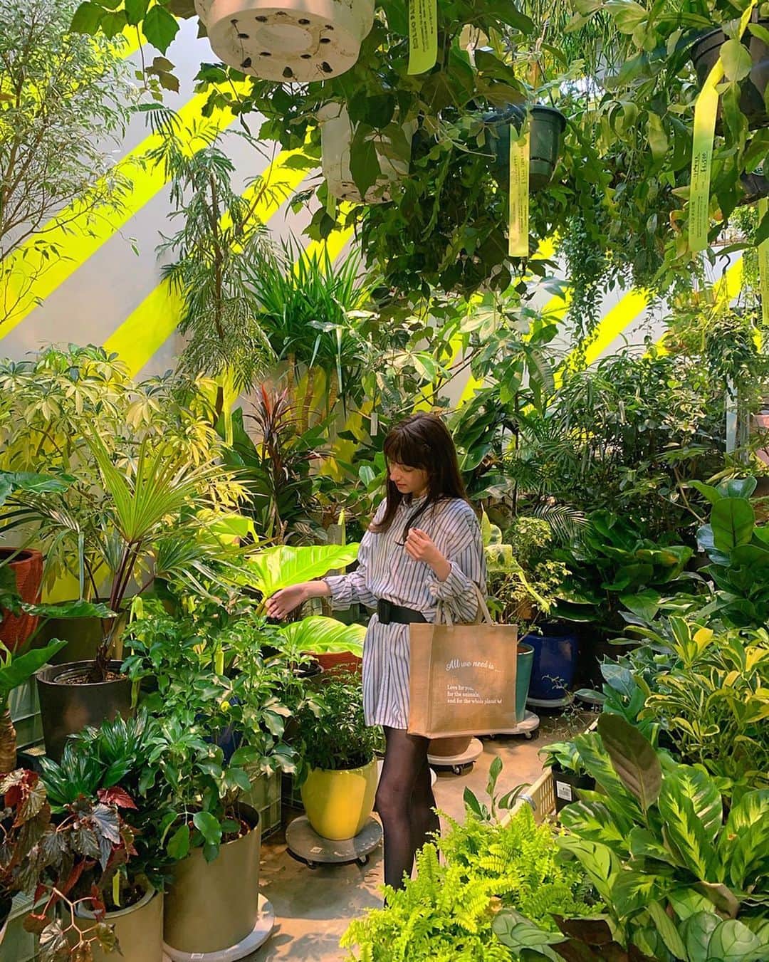 LINA（吉村リナ）のインスタグラム：「One of my dream is to have all these beautiful plants in my room, so that even I work from home, I can feel the forest vibes all the time 🌳🕊🪴 🌼💻✨  ーーーーーー  いつかMy Homeを建てたら、 自分の部屋を植物でいっぱいにするのが夢です🪴そうしたら、たとえお家から仕事をしていても、ずーっと森の中にいる気分になれるから...!!☺️🌳🕊💻🌹✨  ーーーーーー  PS. バッグは＋Loveの”土に還るオリジナルエコバッグ”です🌳詳細はプロフィール欄のリンク、SHOPへ🕊」