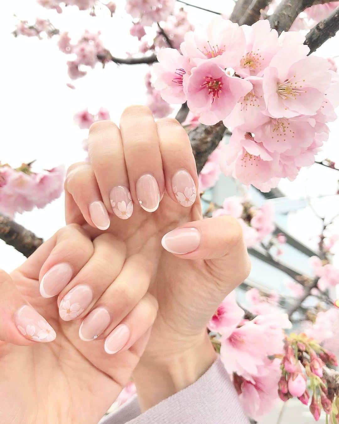 Manaさんのインスタグラム写真 - (ManaInstagram)「𝑵𝒆𝒘 𝑵𝒂𝒊𝒍🌸 お料理の仕事がひと段落したので 久しぶりにネイルサロンへ🐕‍🦺🐾 . わたしの手元にも春がやってきました🕊💕 . 桜を片手2本ずつ描いていただいて あとはシンプルなフレンチ❤︎ . 白とピンクを絶妙な配合で混ぜて 本格的に桜のお色味を再現してくださいました！すごい🥺✨ . . お世話になったのは、久屋大通にある @nailsalon_elfin さんです🧚🏻‍♀️🌸 @nailsalon.elfin_leciel ←矢場町店 . . ♡予約時に「土屋まなからの紹介」とお店に伝えると… 通常料金から20%引きになるそうなので是非💗 . 付け替えジェルオフはいつでも無料です👼🏻 . . . . . #nail #newnail #cherryblossomnails #springnails #flowernails #pr #名古屋ネイルサロン #栄ネイルサロン #久屋ネイルサロン #エルフィン #エルフィンルシエル #ジェルネイル #ネイル #ネイルデザイン #ネイルアート #桜ネイル #春ネイル #春ネイル2021 #桜ネイルデザイン #フレンチネイル #フレンチネイルデザイン #シンプルネイル #ピンクネイル #手元くら部 #ネイルデザイン #お花見 #花見 #お花見コーデ」3月9日 21時27分 - mana.tcy