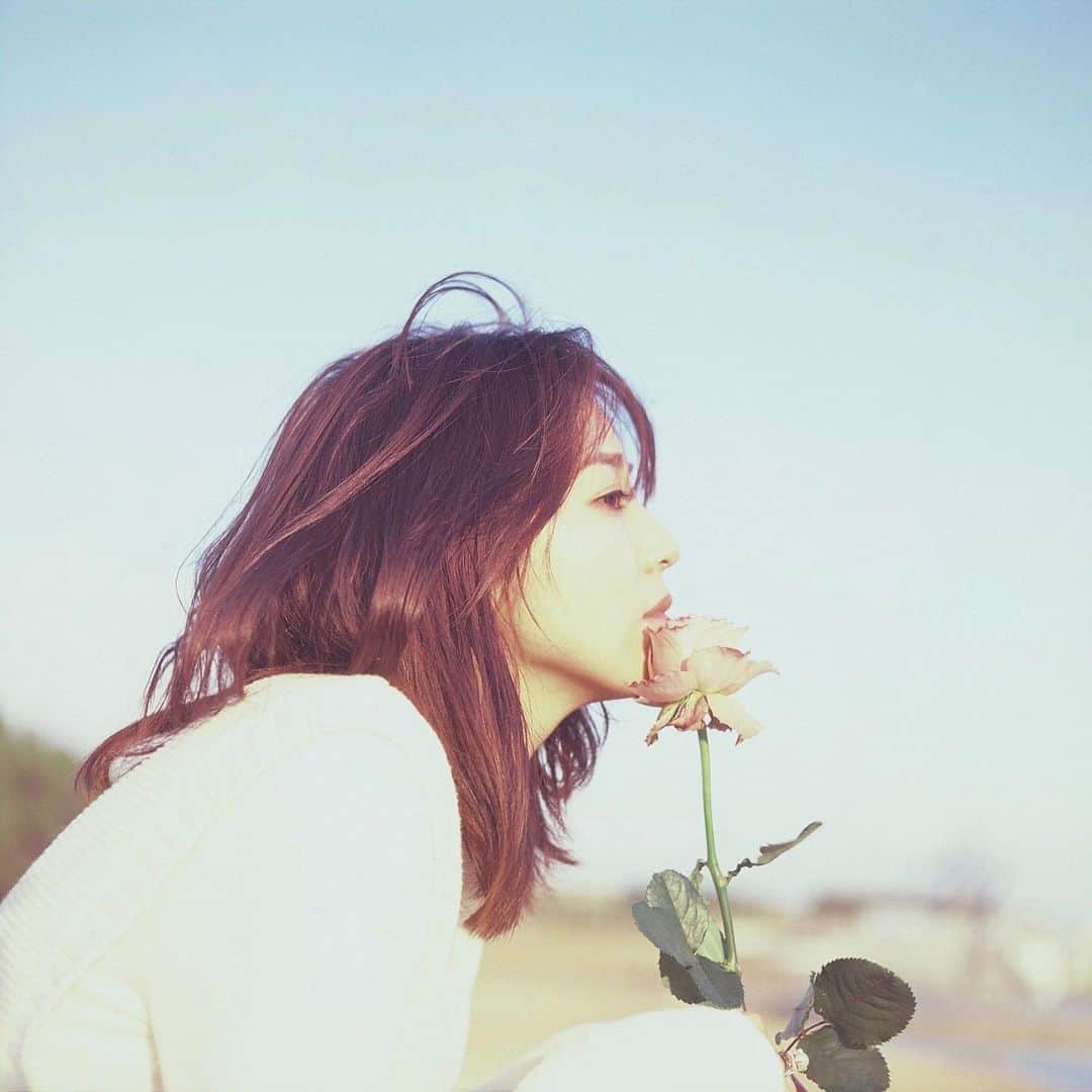 江藤百香のインスタグラム：「🌹🌹♡ photo by @hi_7sunny  #film #daysofmomobysunny」