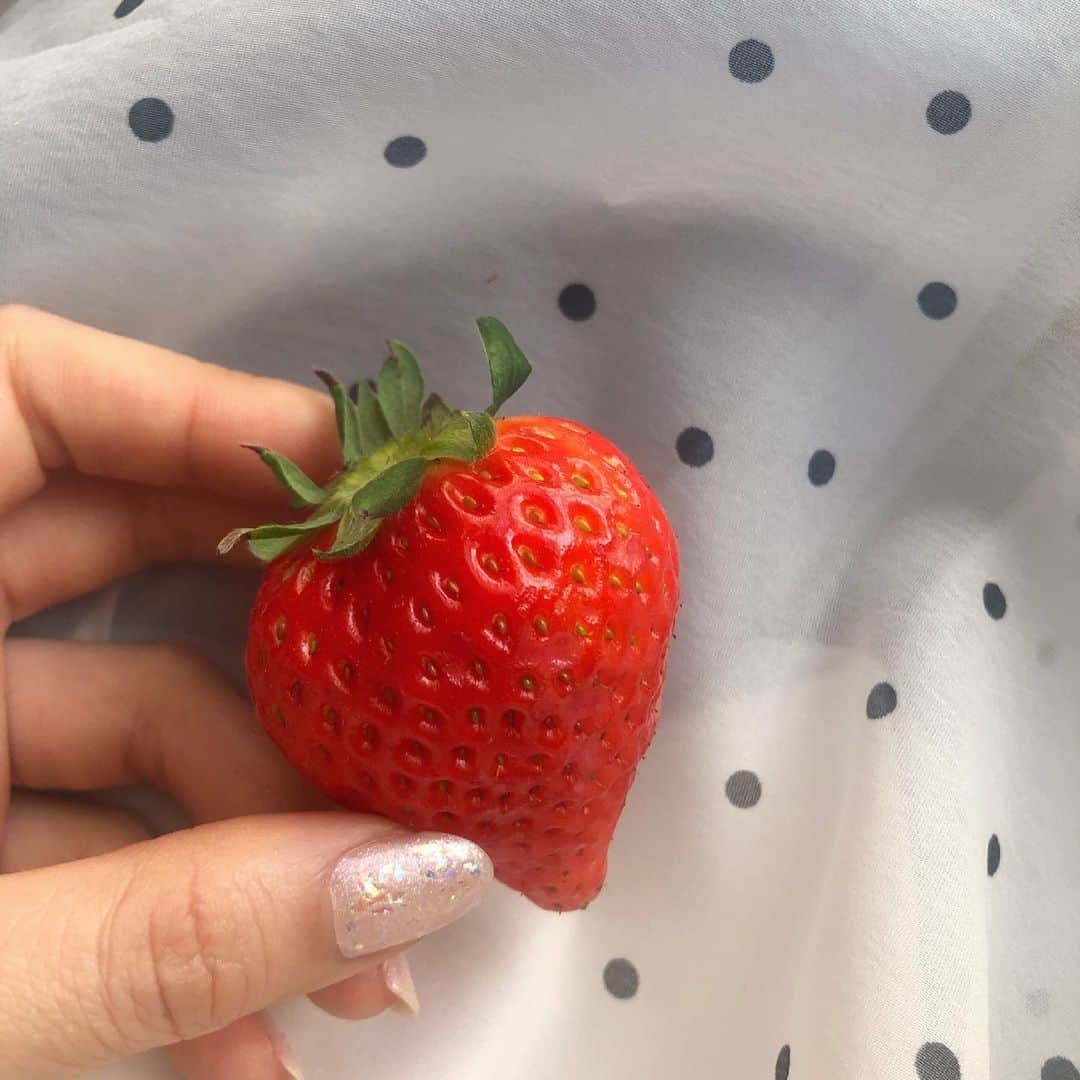 吉原奈緒花のインスタグラム：「. . .  この前、今年初いちご食べた時の📸  #イチゴ　#苺　#strawberry #photo #camera」
