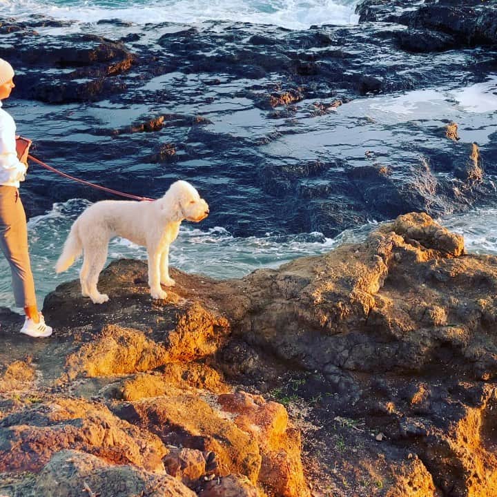 西岡剛のインスタグラム：「🌝  #西岡剛」