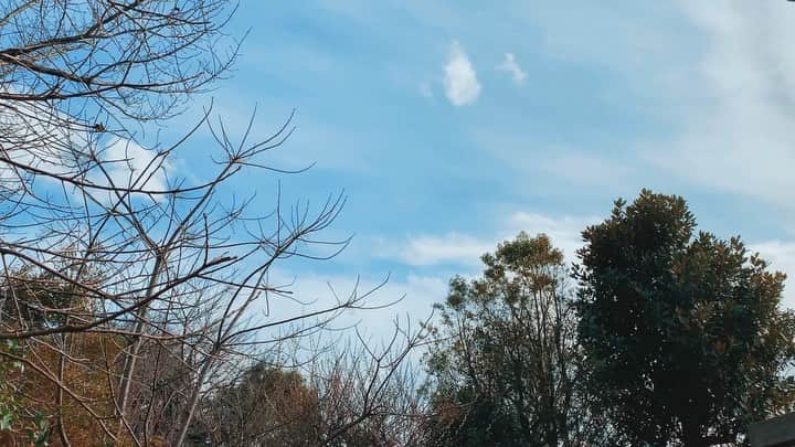 宇藤えみのインスタグラム：「息子と一緒に寝落ちして4時から起きてる🦜 #くらしの音」