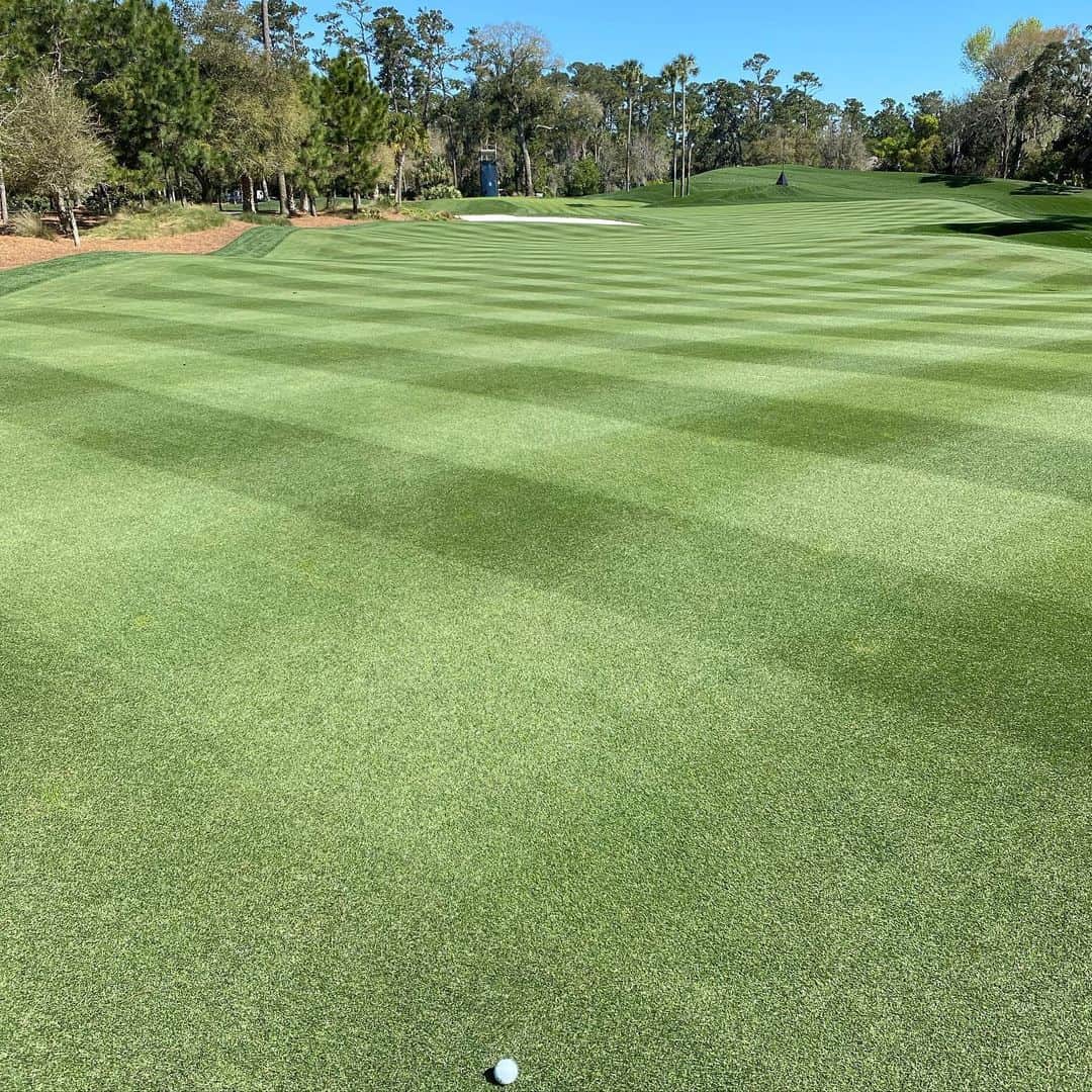 のインスタグラム：「I’ve never seen turf conditions as good as @theplayerschamp this week. Absolutely perfect! Congrats to the whole team👍👍 @australian_lawn_fanatics」