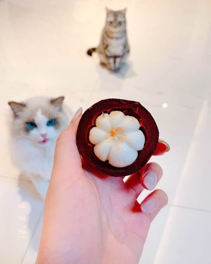 璇璇のインスタグラム：「昨天外賣送來的山竹， 竟然發霉長毛了！！  我是該吃不該吃😂」