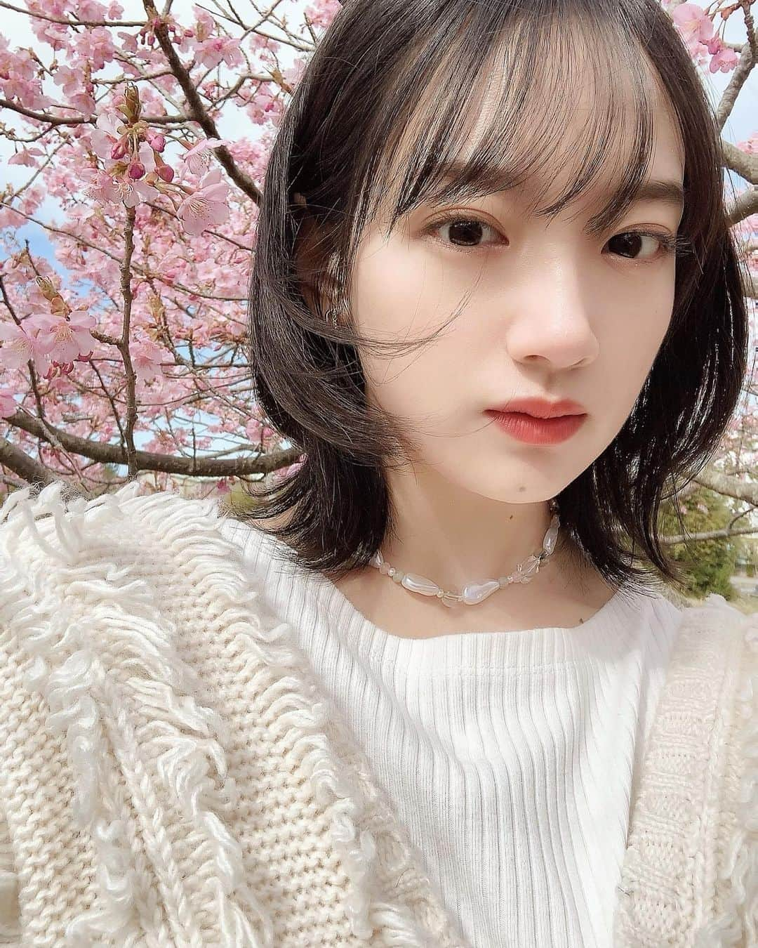 坂口風詩さんのインスタグラム写真 - (坂口風詩Instagram)「春だね🌸」3月10日 18時12分 - futa_sakaguchi