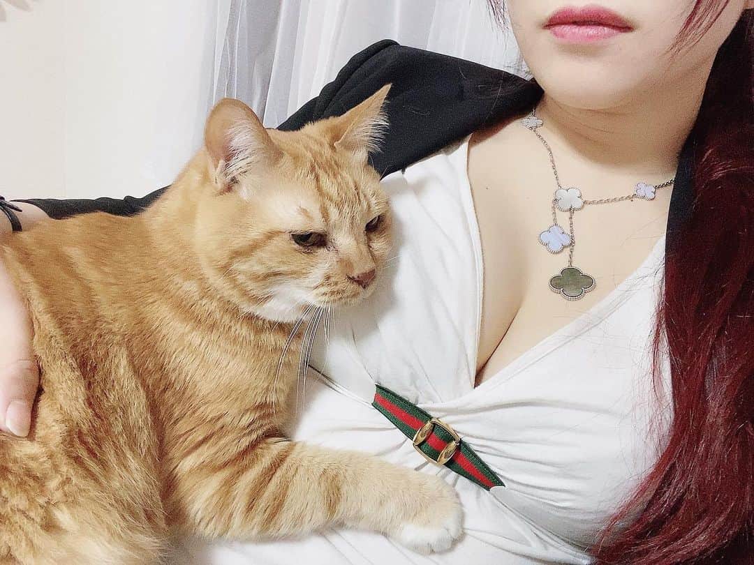 ツナマヨのインスタグラム：「ギュッ」