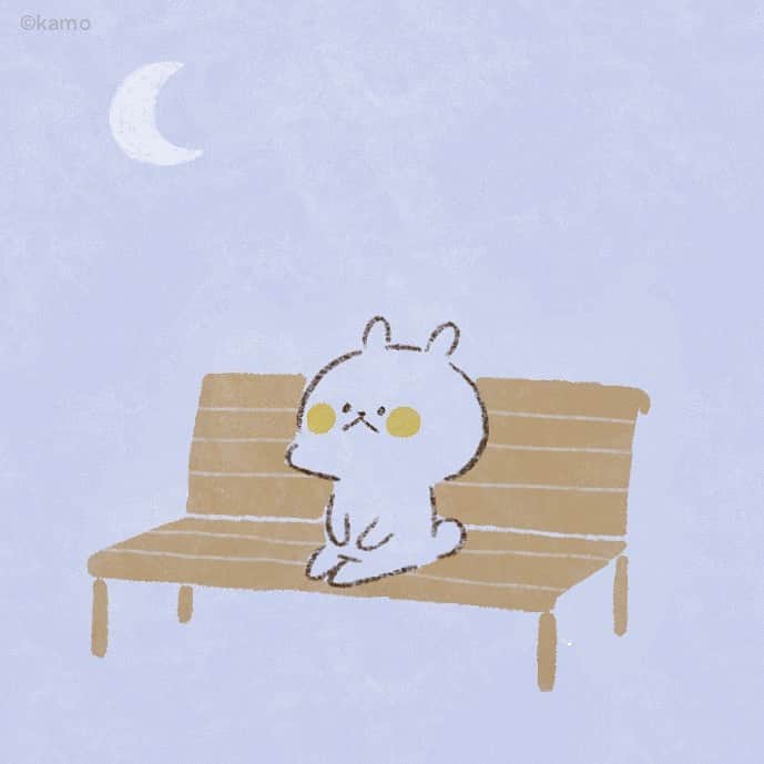 カモのインスタグラム