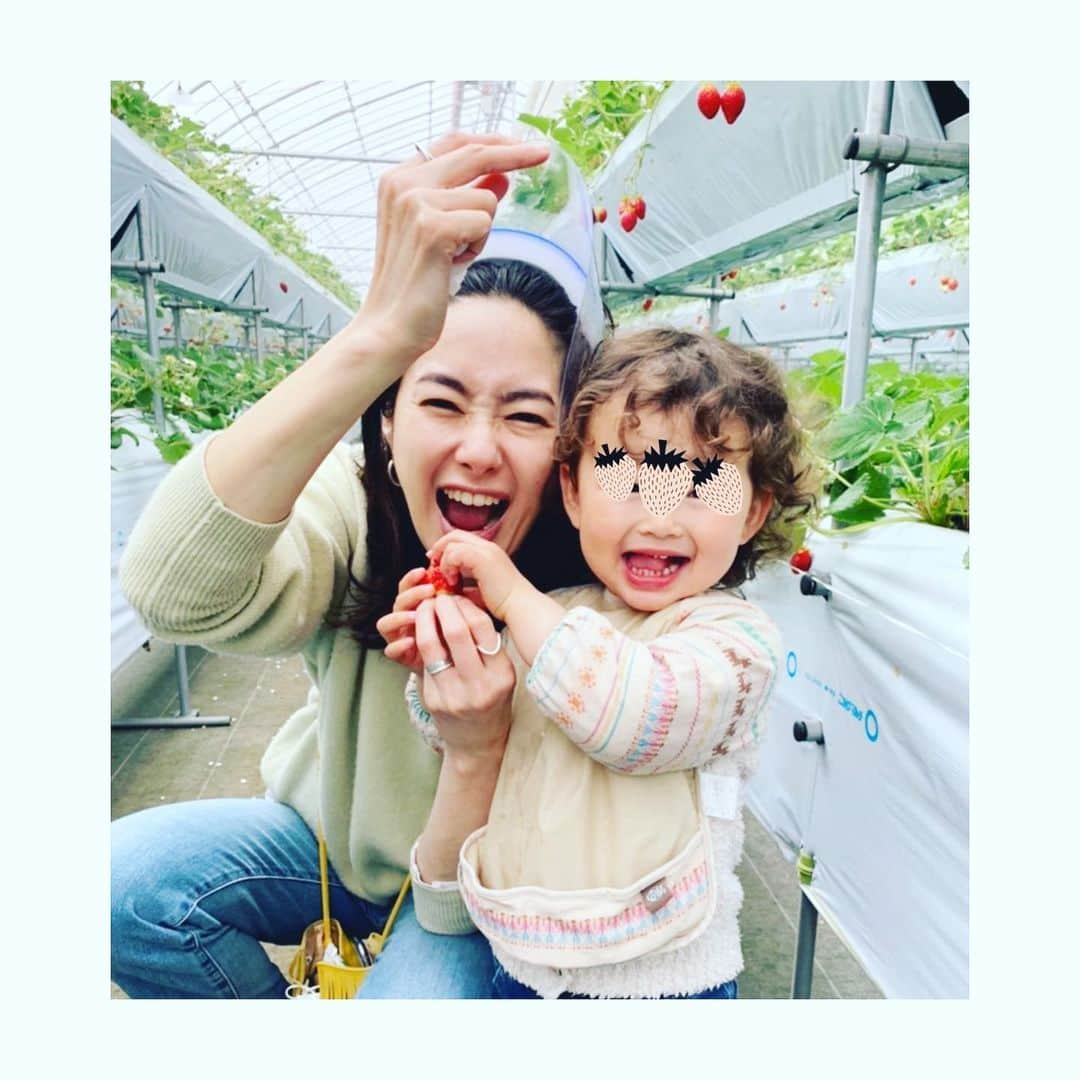 美保なな実のインスタグラム：「🍓🍓🍓  こないだ行ったいちご狩りが楽し過ぎた🤩  何年振り？ もぉ記憶にないくらい行ってなかったいちご狩りー！！  また来年行きたいな☺️ (今度はフェイスシールドなしで🙏🏻)  #いちご狩り」