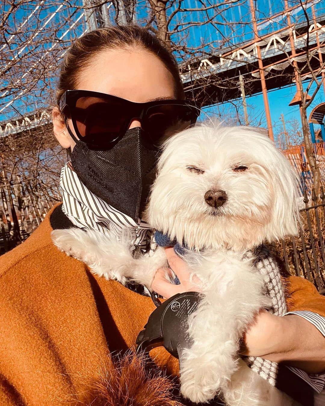 オリヴィア・パレルモのインスタグラム：「Spring vibes with the sun in our eyes 😎」