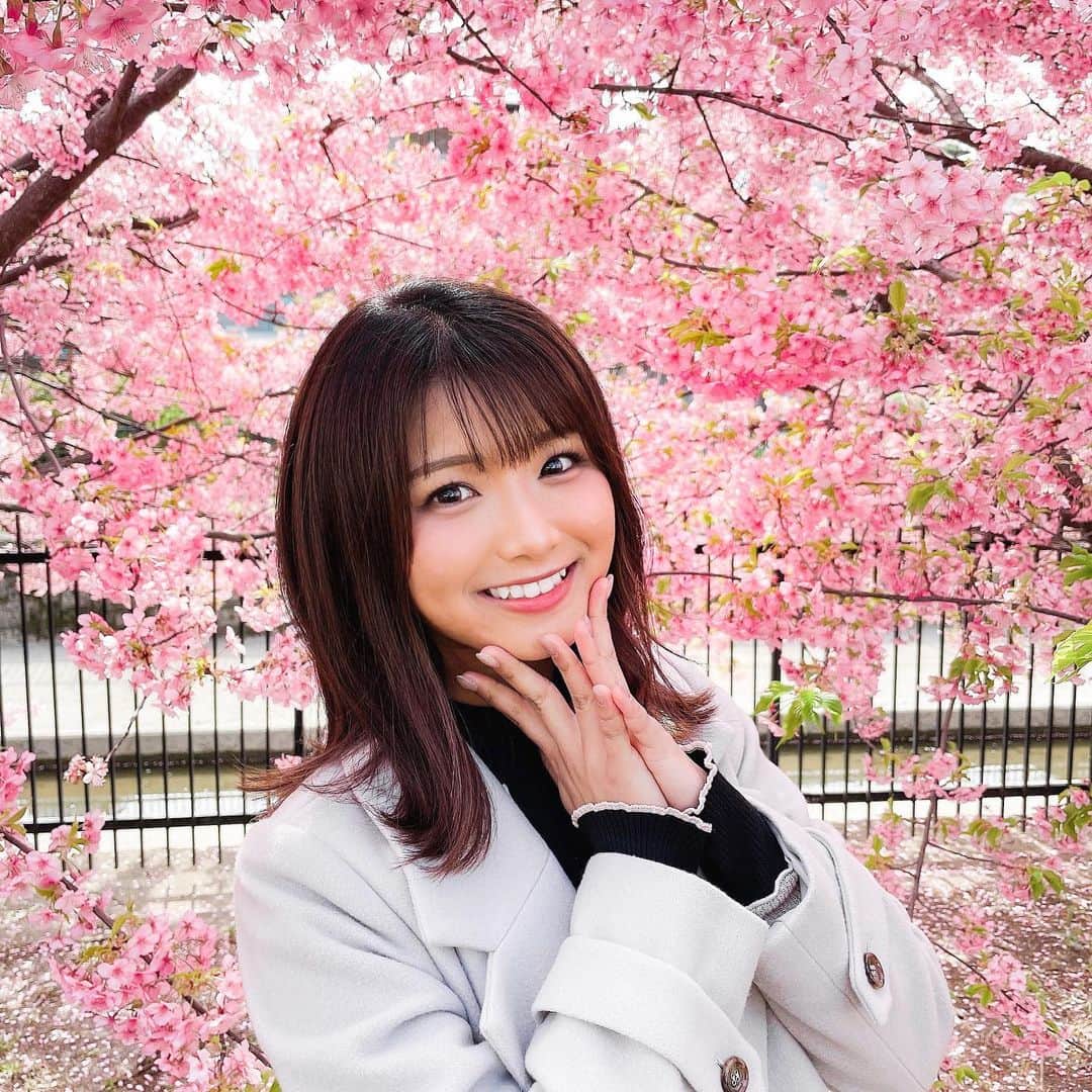 山本ゆうかのインスタグラム：「.  綺麗だわよな  #淀水路　#河津桜　#桜並木　#淀　#京都桜 #京都観光 #noela #unitedtokyo」