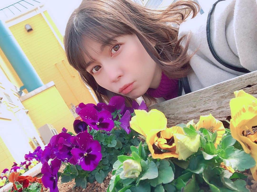 リンさんのインスタグラム写真 - (リンInstagram)「#パンジー #春 #花  マスク外すと鼻の頭いつも赤い🤡」3月10日 15時49分 - lynn.06.01