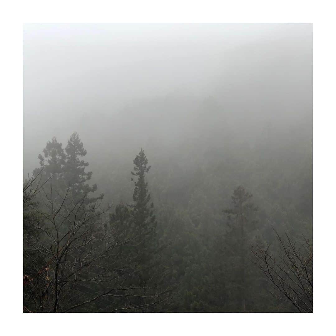 SEN（三辻茜）のインスタグラム：「There’s something about quiet landscapes. I can feel my BP drop as I look at this photo」