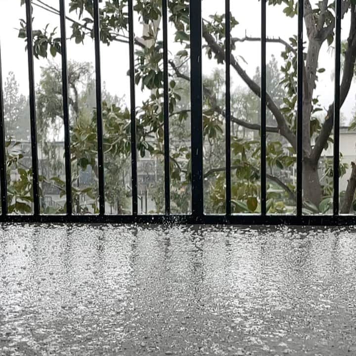 ケイティー・ルクレールのインスタグラム：「Will I be going outside today? #ohhailno」
