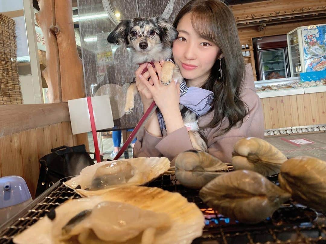 藤江れいなさんのインスタグラム写真 - (藤江れいなInstagram)「♡ 💚🐶▶︎ @ane.love0328 ・ ・ #チワックス #シルバーダップル  #チワックス倶楽部 #チワックス子犬 #チワックスタグラム　#チワックス党  #チワックス部 #パピー #パピー犬  #子犬のいる暮らし  #犬のいる暮らし　#わんこのいる暮らし  #チワワ　#ミニチュアダックスフンド  #ミックス犬　#今日のuchinoco  #いぬすたぐらむ」3月10日 19時16分 - 01nyan0201