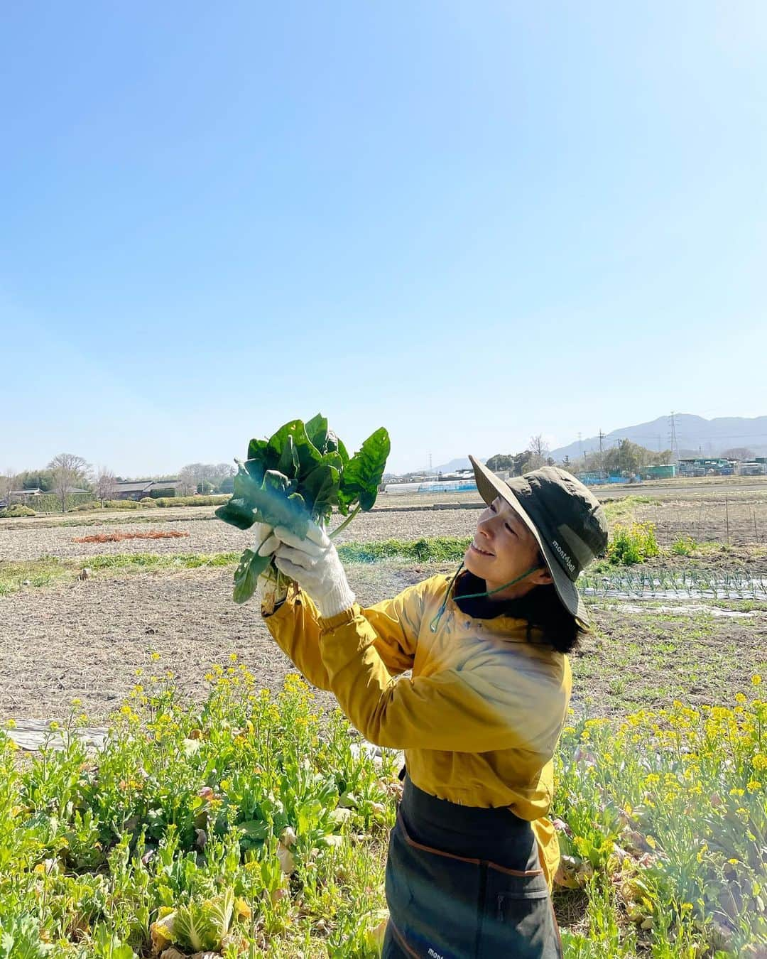 AYUMIさんのインスタグラム写真 - (AYUMIInstagram)「去年、畑をはじめた初日に とりあえず植えた、ほうれん草の種  ほうれん草の芽よりもはるかにたくさん 育つ雑草の隙間から、ほうれん草の芽 を見つけた時のうれしかったこと🌱  少しですが収穫できました🙏  #畑時間 #ほうれん草の収穫 #AYUMI楽農 #AYUMIアウトドア  #アウトドアウェア #montbell #モンベル」3月10日 19時55分 - ayumiayunco