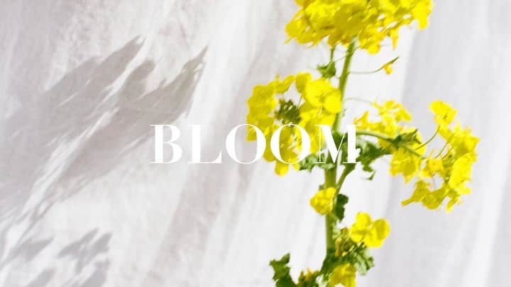 ルミネ公式のインスタグラム：「Keep your smile, Bloom your days.  明日も晴れるといいな。  Smiling Relay をつなぐ春です。 さあ、笑ってこ。  Model  @nico.ando.official Creative direction & Art direction @kana_tkym Photo @8msmsm8 Hair & Make up @chikasuzuki1 Flower @ochiyasutaka @diligenceparlour #笑ってこ #smilingrelay #keepyoursmilebloomyourdays #lumine #ルミネ #安藤ニコ #石田真澄」