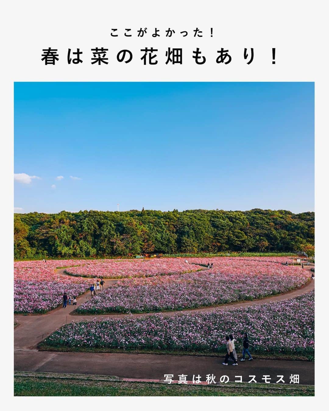 東京カメラガールズさんのインスタグラム写真 - (東京カメラガールズInstagram)「佐世保市の絶景展望台📷 　 ここは佐世保市の九十九島が180度見渡せる展望台。 展望台の下には春は菜の花、秋はコスモスが咲くお花畑もありました！  絶景とお花畑が同時に楽しめるという一石二鳥👀✨カメラ女子的には最高のロケーションですね😊 . . . Attention✨ ※旅をする際はどうか新型コロナウイルス対策を。 ※撮影する際はマナーを大切に。 ※写真撮影時は一時的にマスクを外していますが、常に健康管理や感染対策は万全に、ガイドラインに従ってイベントを開催しています。 . . . #長崎観光#長崎旅#佐世保市#カメラガールズ #カメラ女子#カメラの聖地#カメラ女子と繋がりたい #絶景#展海峰#菜の花畑 #菜の花#花畑#日本の絶景」3月10日 21時02分 - tokyocameragirls