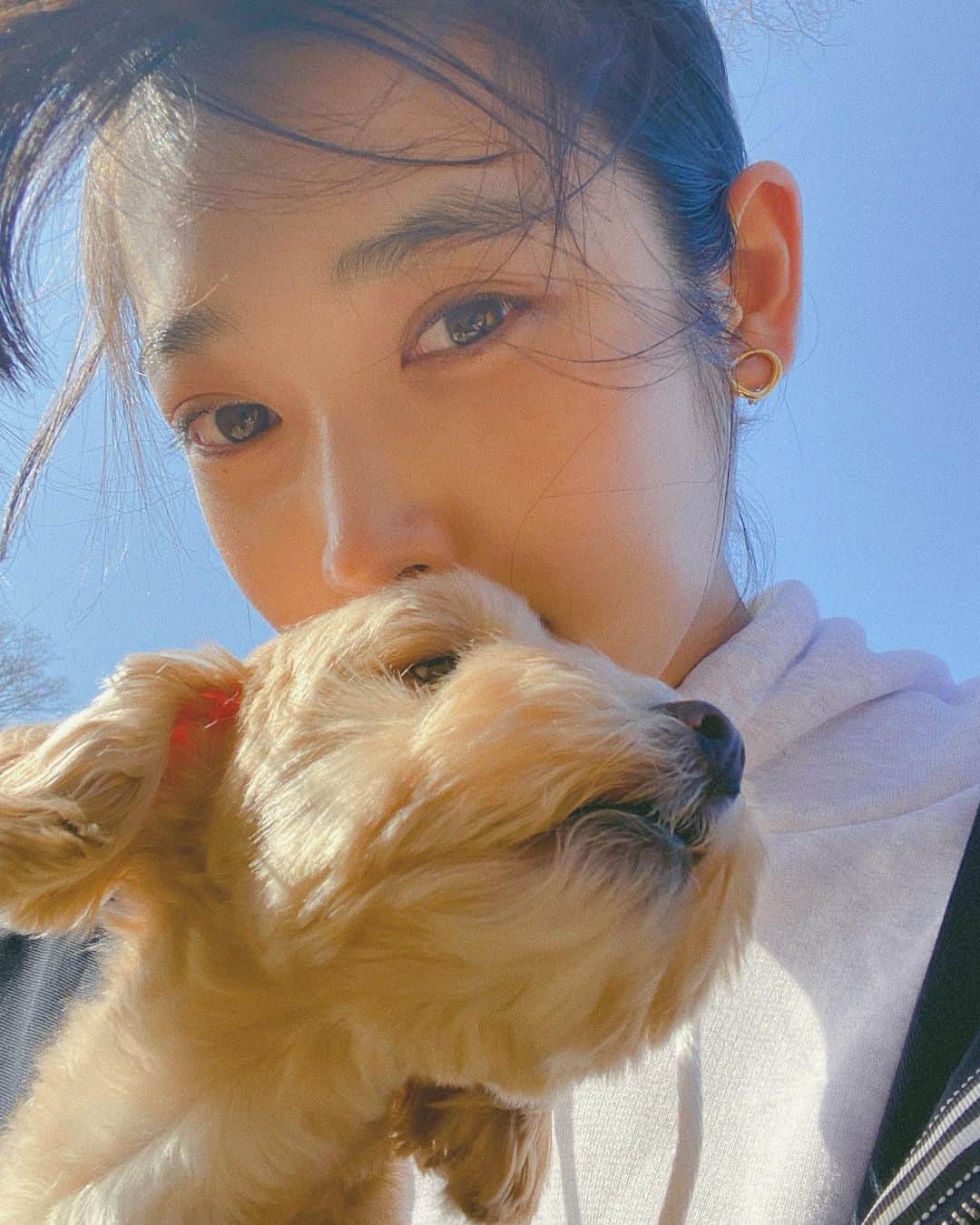 のインスタグラム：「今日の朝一散歩の写真。🐕🧡🙆🏻‍♀️」