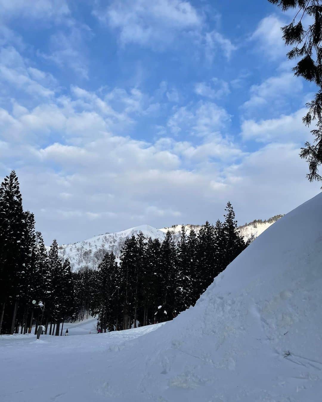 沖田愛加さんのインスタグラム写真 - (沖田愛加Instagram)「☃️❄️☃️❄️☃️❄️ 下手すぎて、携帯を持ちながら滑ることなんて出来ないから、 転けたときに唯一撮った3枚目の雪の写真が意外とお気に入り☃️」3月10日 23時20分 - okita_aika