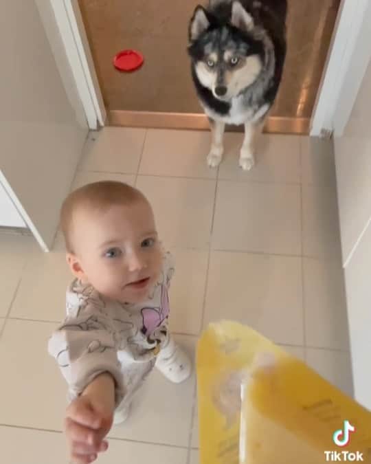 チャチー・ゴンザレスのインスタグラム：「When you have babies and pups, it’s never “what am I eating?” ...it’s more like “what are WE eating?” 😭😂」