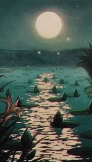 サーヤのインスタグラム：「#踊ってばかりの国」