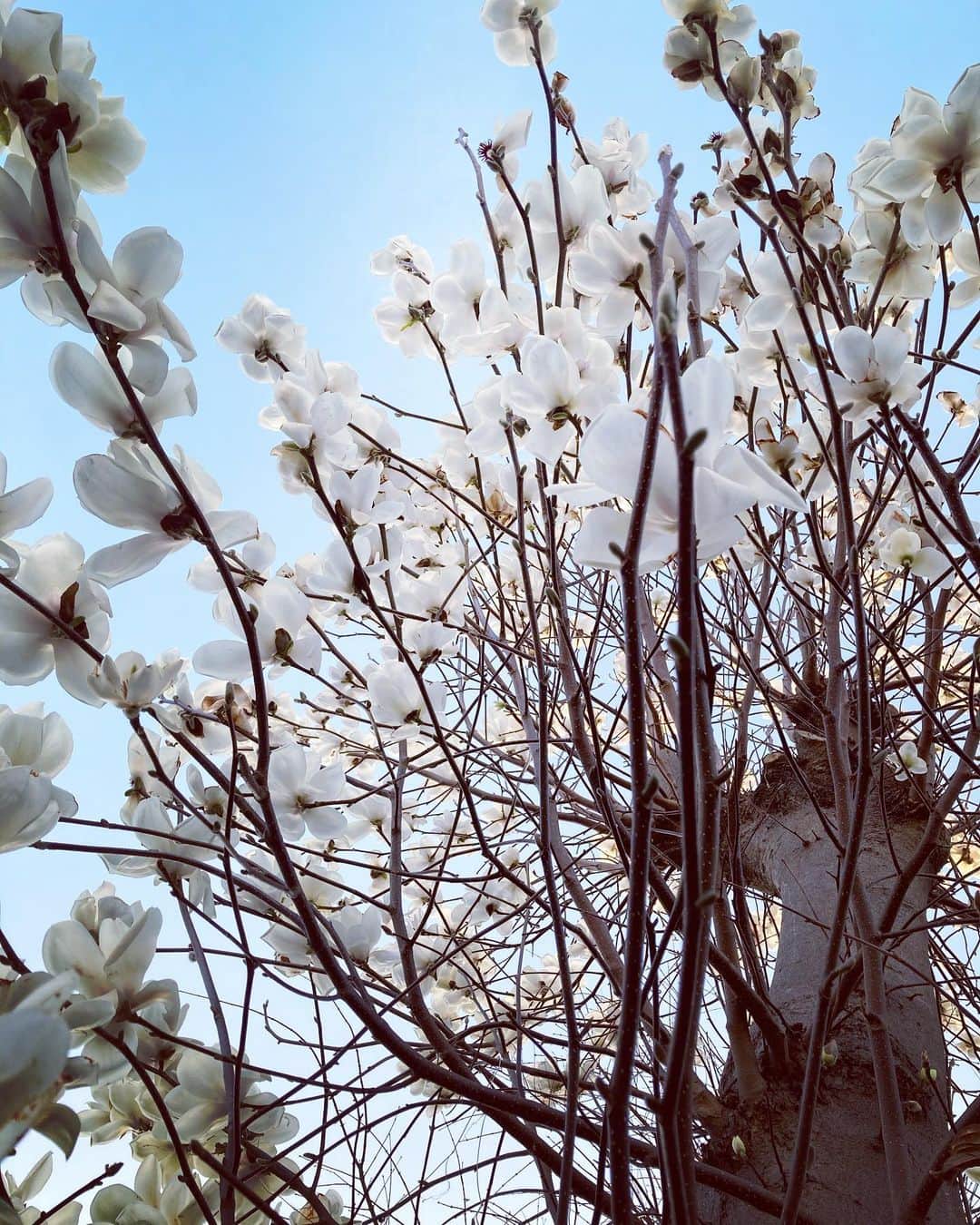 藤木由貴さんのインスタグラム写真 - (藤木由貴Instagram)3月11日 13時02分 - yuki.grm