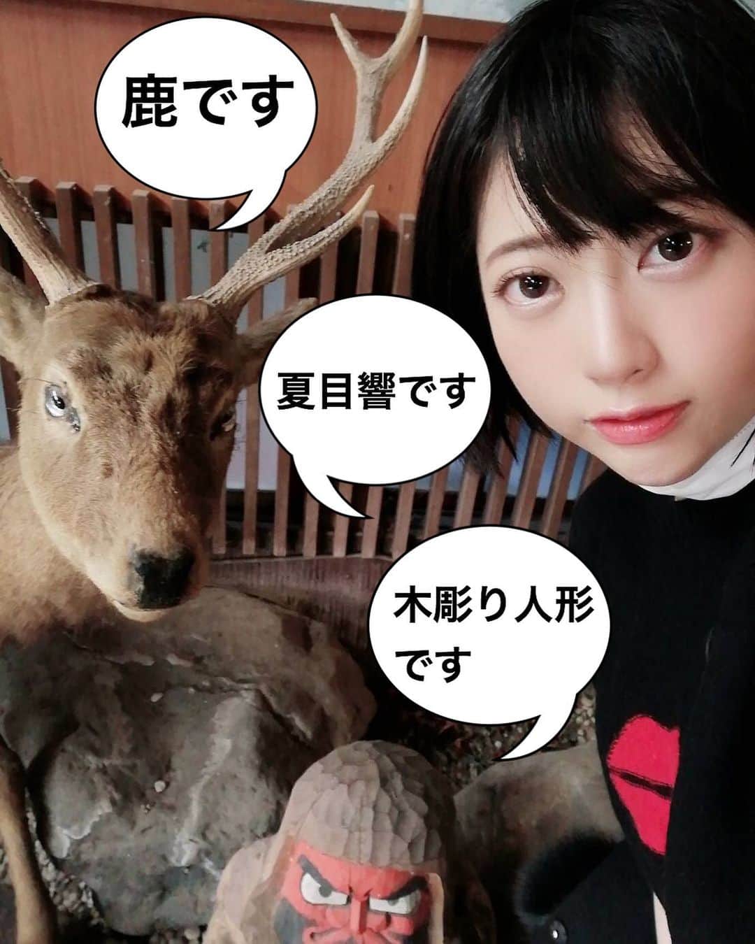 夏目響さんのインスタグラム写真 - (夏目響Instagram)「珍しい3ショット☺️ 今年1月のある撮影にて。  #撮影オフショット #鹿の剥製 #木彫りのおこりん坊 #夏目響 #natsumehibiki」3月11日 13時12分 - hibikinatsume