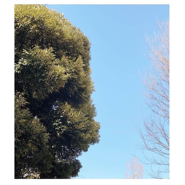 前田ゆかのインスタグラム：「3.11  あの時のことを忘れず  これからに生かしていく  災害への備えをこの機に再確認し自分に出来ることを続けていこうと思う。  #東日本大震災  #311 #あれから10年 #黙祷を捧げます」