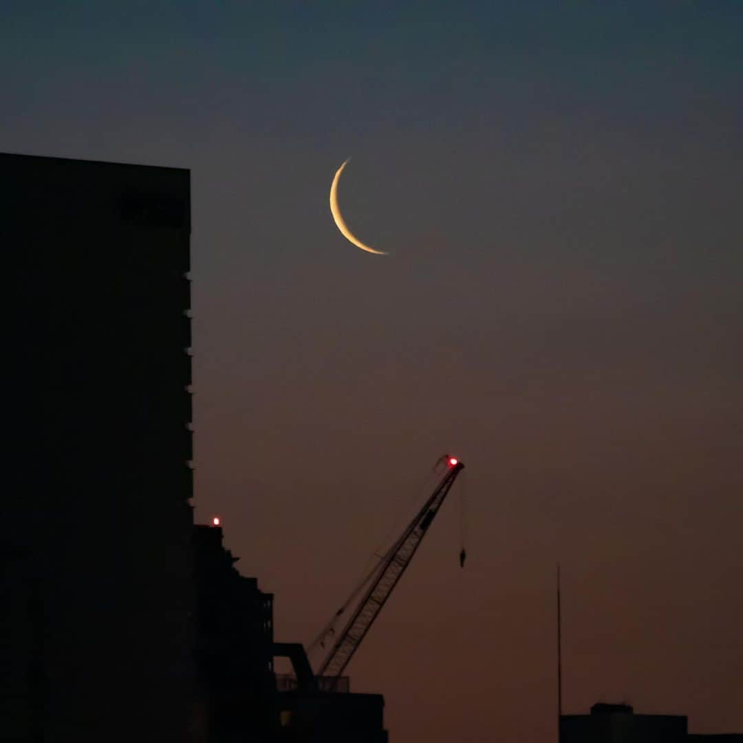 時任三郎のインスタグラム：「今朝の夜明け前、月の出＠東京 いい一日でありますように #月の出 #夜明け前」