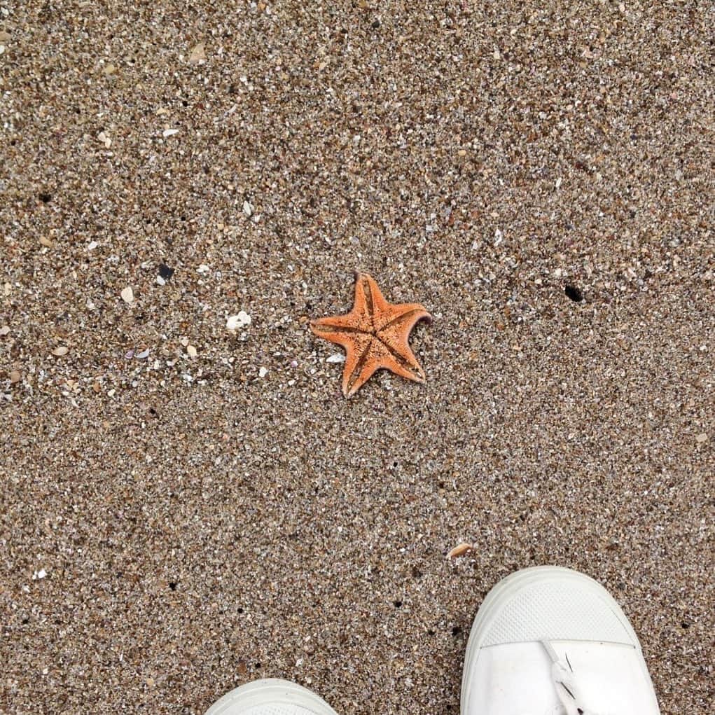 鈴木京香のインスタグラム