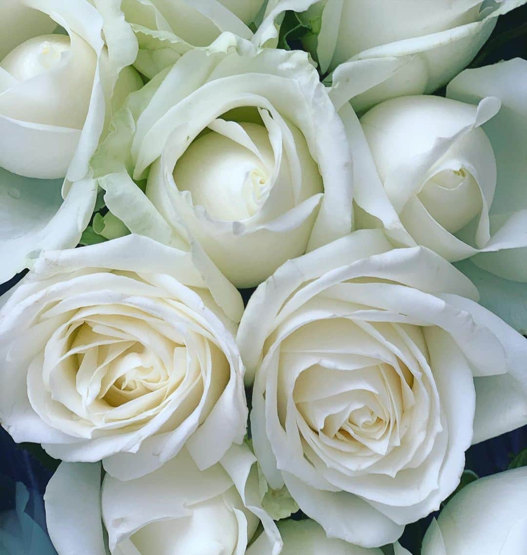 のインスタグラム：「✿✿✿3.11 東日本大震災から10年。 何年経とうと失ったものへの喪失感は消えない。 今もまだ苦しみや悲しみの中にいらっしゃる方々も多いと思います。 他人事ではなく、いつどこでまた自然災害が起こるかもわからない。私たちもコロナ禍で生活様式が変わって平凡な毎日が奪われたこの一年でも、生きていることに感謝して小さな幸せを感じながら生きたい✨  #東日本大震災から10年  #心からご冥福をお祈りします」