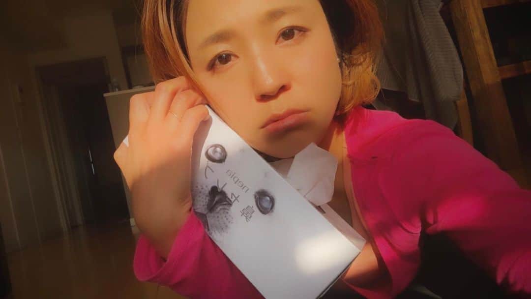 なーみのインスタグラム：「🤧 昨日から仲良くしてる新しいお友達だよ🦭 。 。 頭の奥がポーッと重くて お鼻水がターター出てきて 喉の奥がジョリジョリして とっても苦しい 。 あなたがいないと ハラハラして何も手に付かなくて いつもそばにいてほしい 。 こんなの 恋じゃなかったらなんなのさ！ 。 。 #恋煩い #もしくは #花粉症」