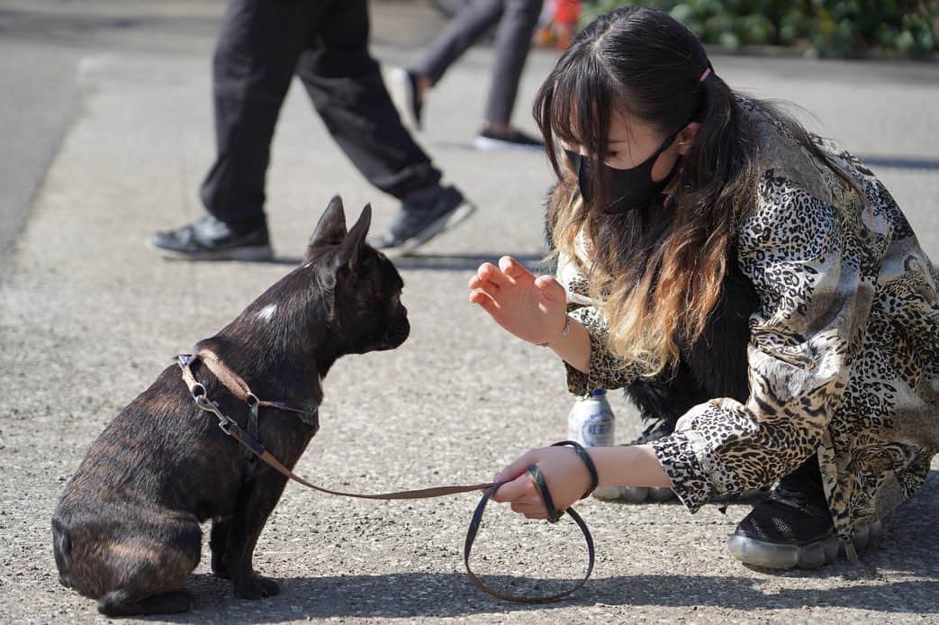 のインスタグラム：「実は昨年、家族を迎えていました‼︎ 3/11日生まれの女の子、こげです。 1歳のお誕生日の今日、皆さんにご報告‼︎ . 元気いっぱいに育ってくれました‼︎それにしても大きくなったなぁ😢 . こげの幸せのために、一家の主人の私がこれからも頑張ります😊💪 お誕生日おめでとう Photo by HAMMERchan #ふれんちぶるどっぐ」