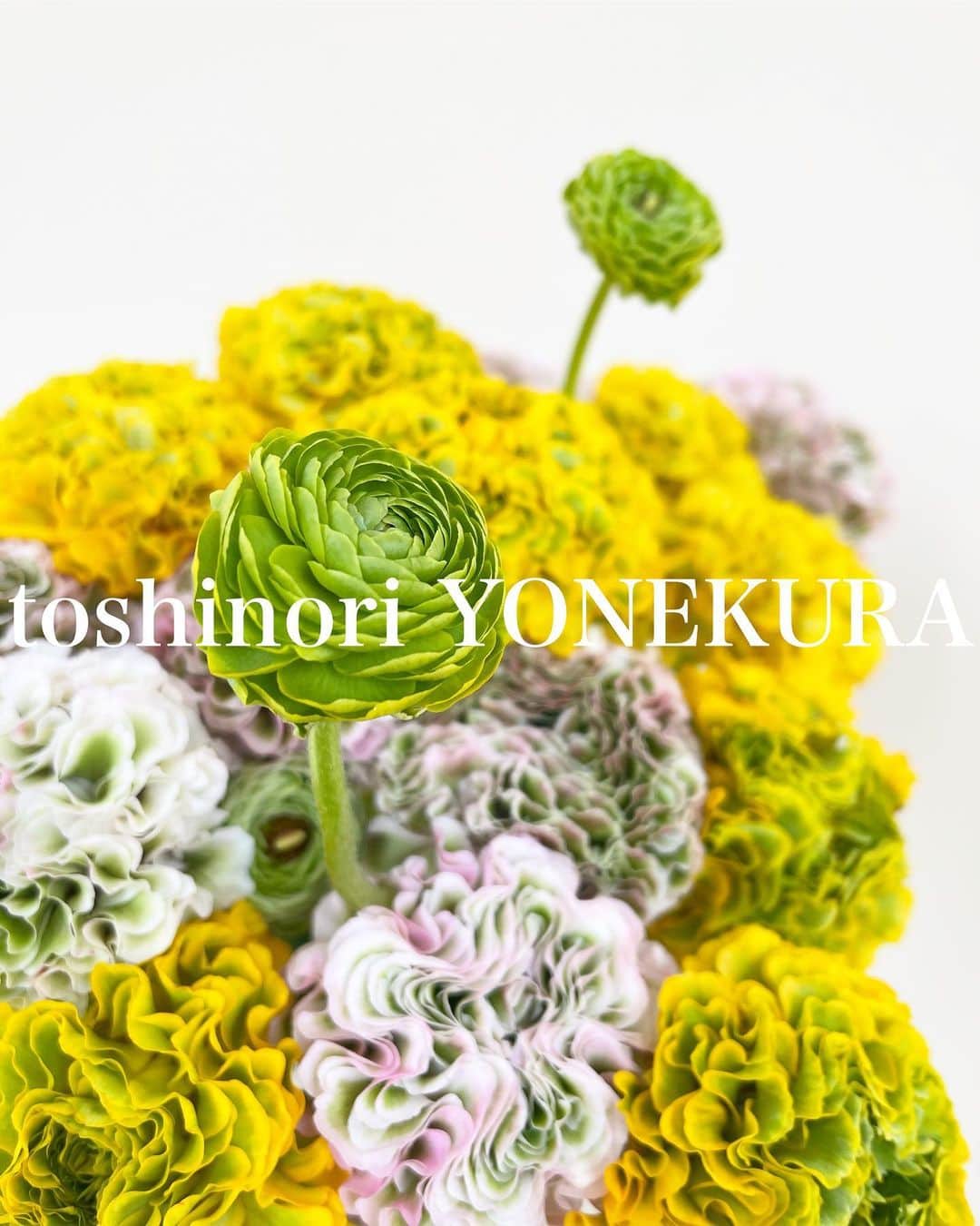 米倉利紀さんのインスタグラム写真 - (米倉利紀Instagram)「flowers of this week #男花 #花のある生活」3月11日 18時56分 - toshi_yonekura