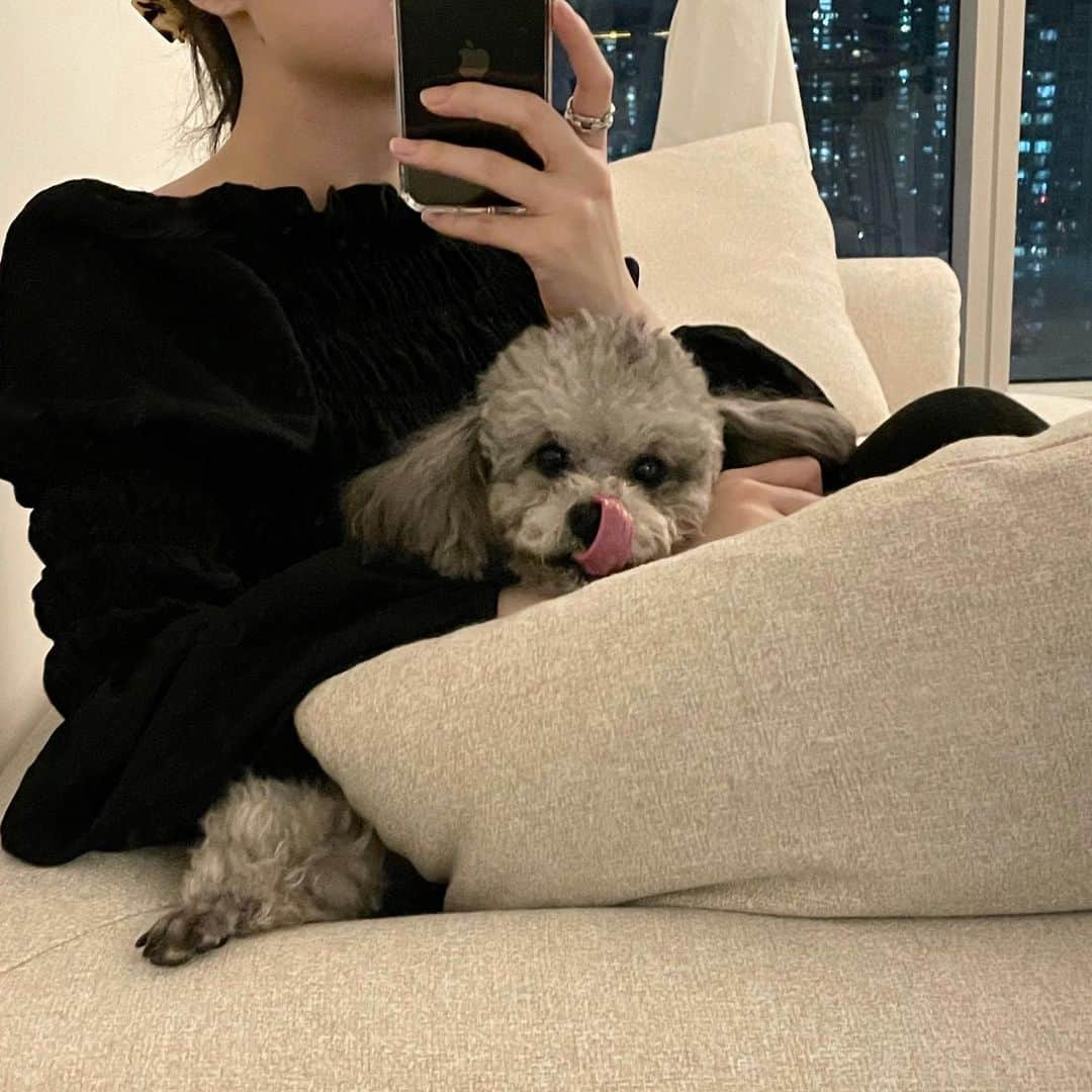 ➕NACOのインスタグラム：「🐩🤍 クロの初めての誕生日はコロナで離れ離れでお祝いできなかったから、3/19の2歳の誕生日が楽しみで🤭 今日似顔絵入りケーキを予約してきた🎂」