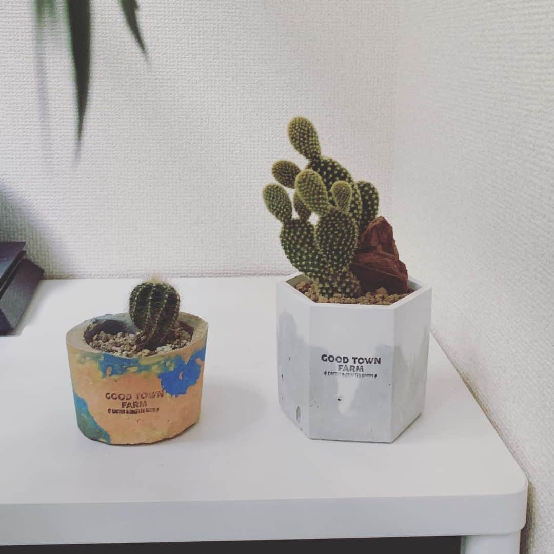 奥山春香さんのインスタグラム写真 - (奥山春香Instagram)「サボテンブーム到来🌵🏜」3月12日 7時48分 - corvetteharuka