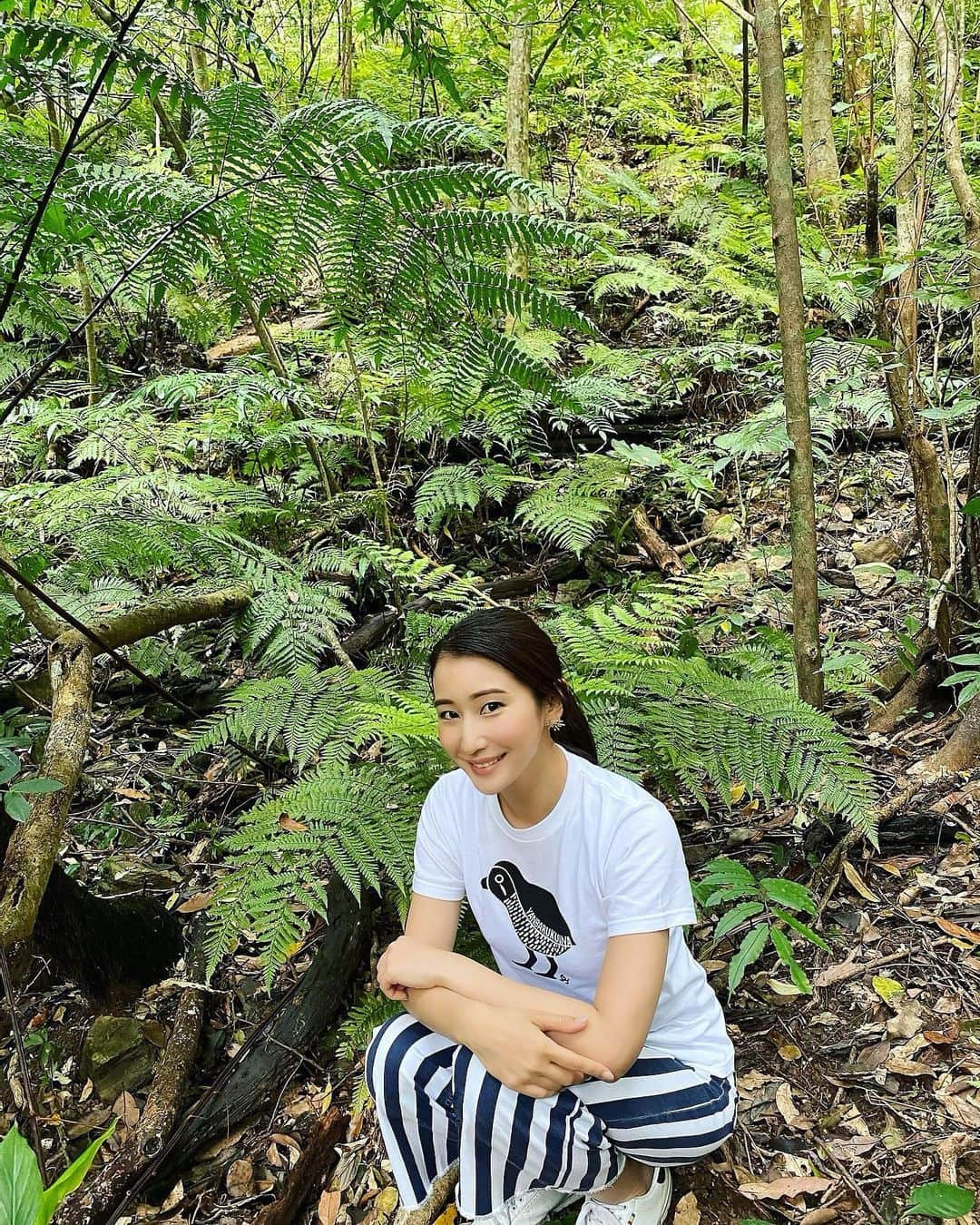 長嶺花菜のインスタグラム：「🌳🌳🌳﻿  地元ガイドの平良さんが、﻿やんばるの森に生息する植物や生き物の魅力を丁寧に教えてくれました☺️🙏﻿ ﻿ 車内では、三線を弾きながら「国頭サバクイ」を歌ってくれましたよ♪  世界自然遺産候補地を電気バス「やんばる黄金号」で行くガイドツアーは、2022年3月31日まで♪  ﻿  ﻿#黄金号（くがにごう）🚌 #やんばる﻿ #大宜味村﻿ #東村﻿ #国頭村﻿ #世界自然遺産候補地﻿ #JTA #沖縄ガイドツアー」