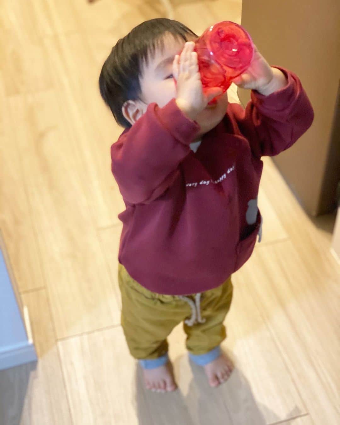 伊藤春香さんのインスタグラム写真 - (伊藤春香Instagram)「豪快に飲む人。﻿ ﻿ #1歳息子 #育児日記」3月12日 8時03分 - ha_chu