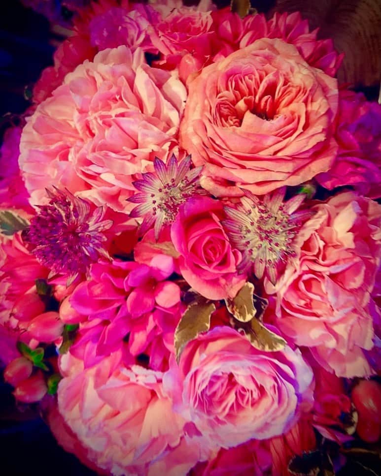 宮村ななこさんのインスタグラム写真 - (宮村ななこInstagram)「Unchanging feelings. #photography #photo #flowers #flower #flowerstagram #love #loveyourself」3月12日 0時27分 - miyamuchan_001
