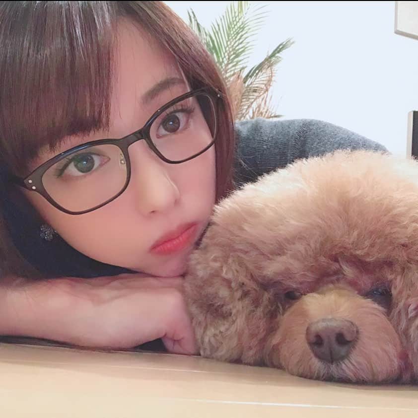美雪ありすのインスタグラム：「3年前くらいの写真です🌼 髪型が違うと印象変わりますね😋 　 ぱんちゃんのモフモフ感がたまらない写真です💕 ぱんもありもシニア犬だけど、まだまだいっぱい元気で長生きしてほしいなぁ🐕　 　 　  #犬のいる暮らし  #モフモフ犬  #癒しわんこ  #長生きしてね」