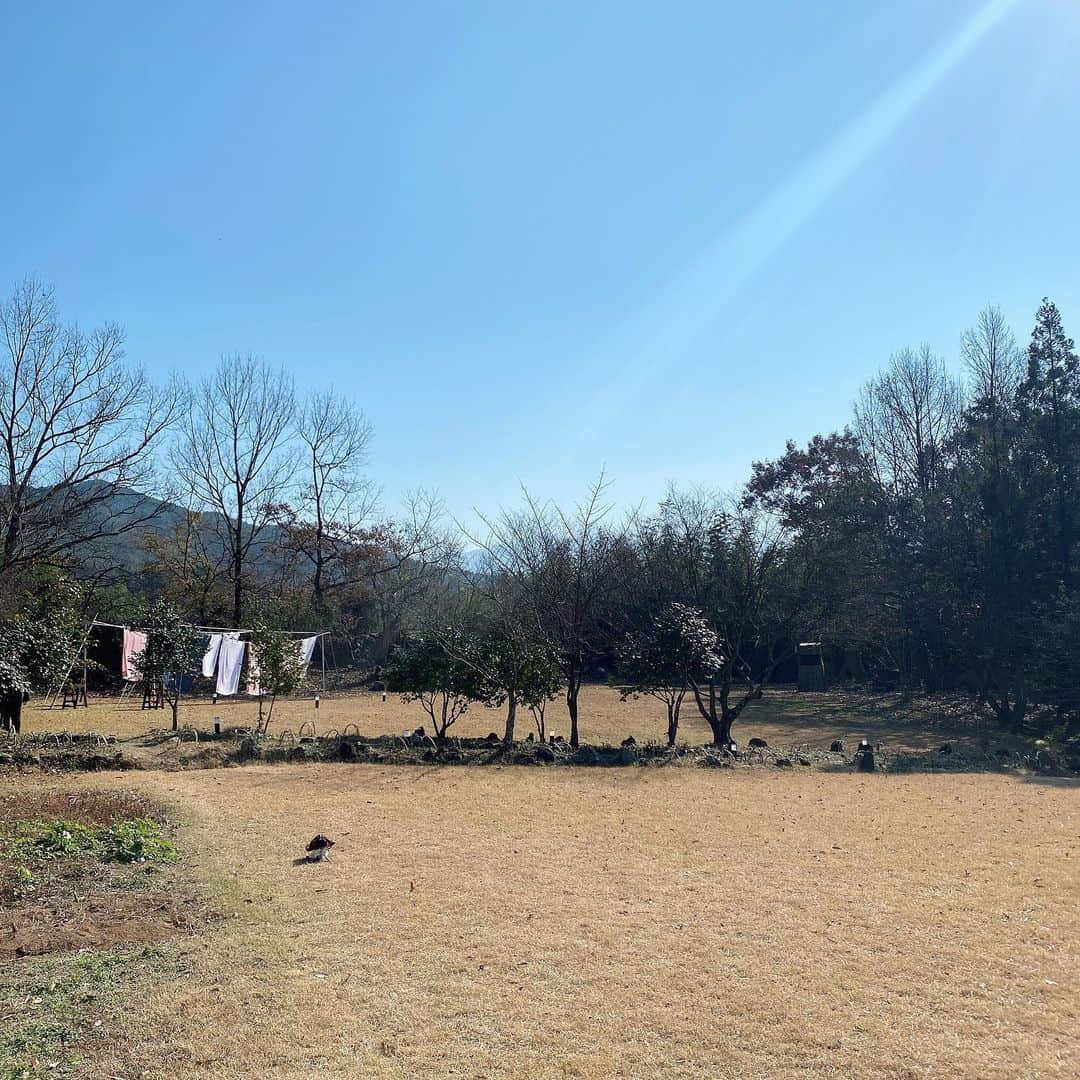チョン・ユミのインスタグラム：「-   #윤스테이 오늘 밤 9시 🍃🫑🍓🧇🧅🥕🟡🟢」