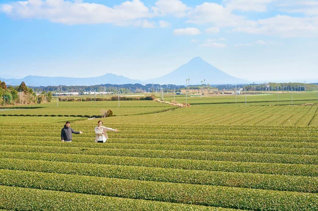 迫田さおりさんのインスタグラム写真 - (迫田さおりInstagram)「・ 明日3月13日土曜日 MBC南日本放送 【週刊1チャンネル】12:00〜 ・ 知覧心茶堂さんとのクラウドファンディングについてお話しさせていただきます🍵 ・ 是非ご覧ください😊🍵 ・ 昨日のインスタLIVE、風がビュービューだったにも関わらず見ていただきありがとうございました🙇‍♀️💦 ・ ・ #鹿児島 #週刊1チャンネル  #知覧 #知覧心茶堂  #知覧紅茶 #GABA茶 #GABA茶プロジェクト」3月12日 17時27分 - saori.rio