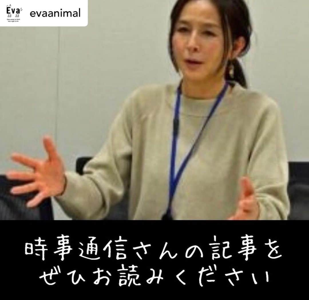 杉本彩のインスタグラム