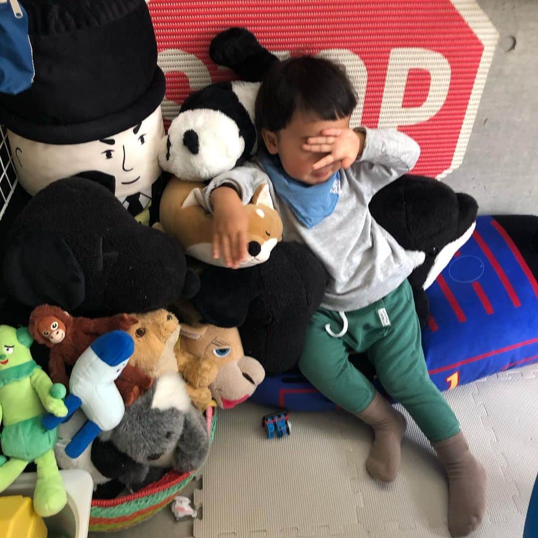 森本容子さんのインスタグラム写真 - (森本容子Instagram)「隠れているつもり😅お出かけ拒否中。」3月12日 9時31分 - yocomorimoto