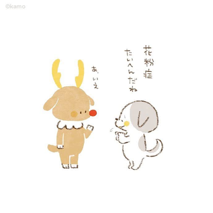 カモのインスタグラム