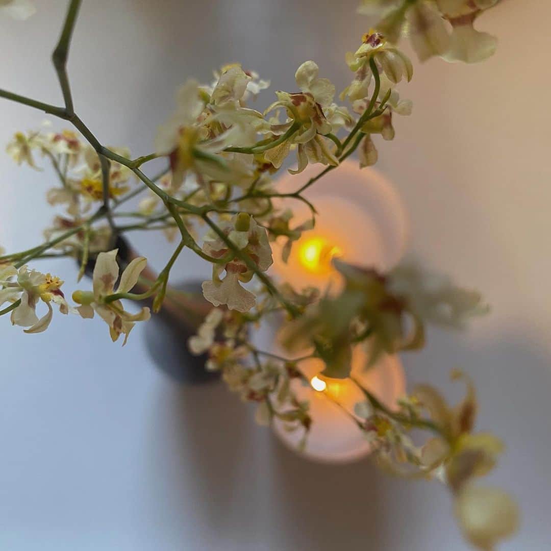 丸山クルミのインスタグラム：「. 今週も可愛いお花が届いた🌼 最近毎週末が待ち遠しい...🪄✨」
