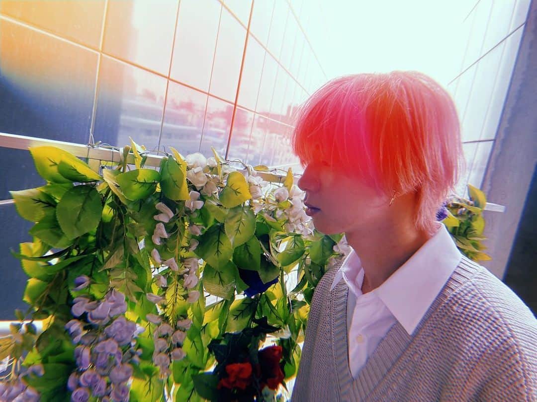 Travis Japan（トラジャ）さんのインスタグラム写真 - (Travis Japan（トラジャ）Instagram)「﻿ pink🌸﻿ ﻿ #pink﻿ #haircolor﻿ #Johnnys﻿ #TravisJapan﻿ #七五三掛龍也 #Shime」3月12日 18時03分 - travis_japan_official