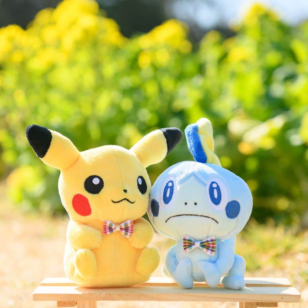 ピカチュウ公式Instagramのインスタグラム