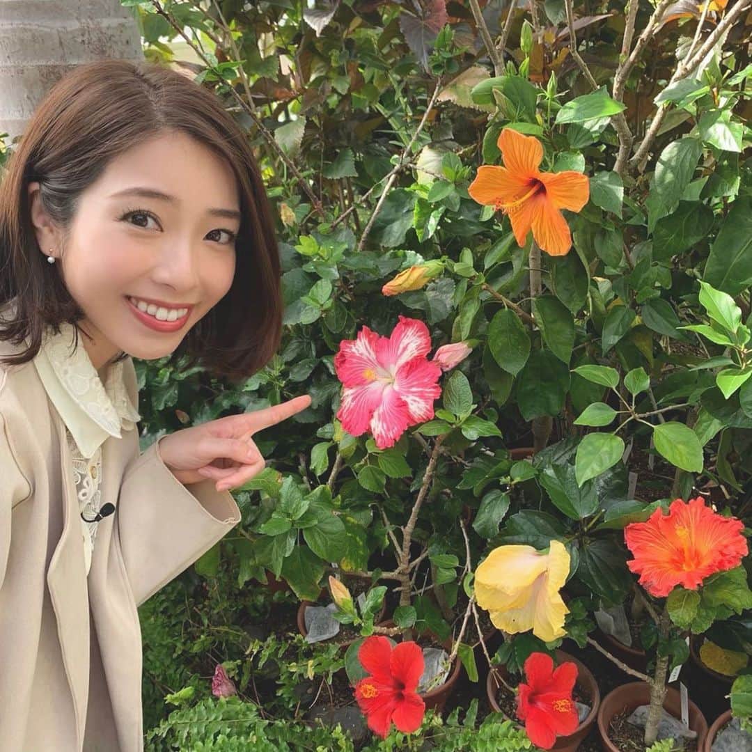 小椋寛子さんのインスタグラム写真 - (小椋寛子Instagram)「先週のアプリ特集のロケで行った、咲くやこの花館🌷 珍しい植物もたくさんあり、可愛いお花に癒されました☺️ またゆっくり行きたいです✨  #咲くやこの花館 #おは土 #おはよう朝日土曜日です」3月12日 18時43分 - ogura_hiroko